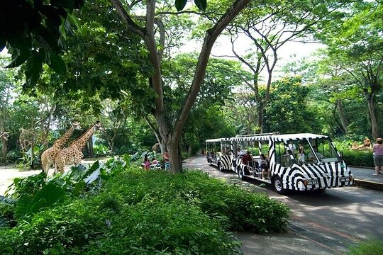Tour image 2